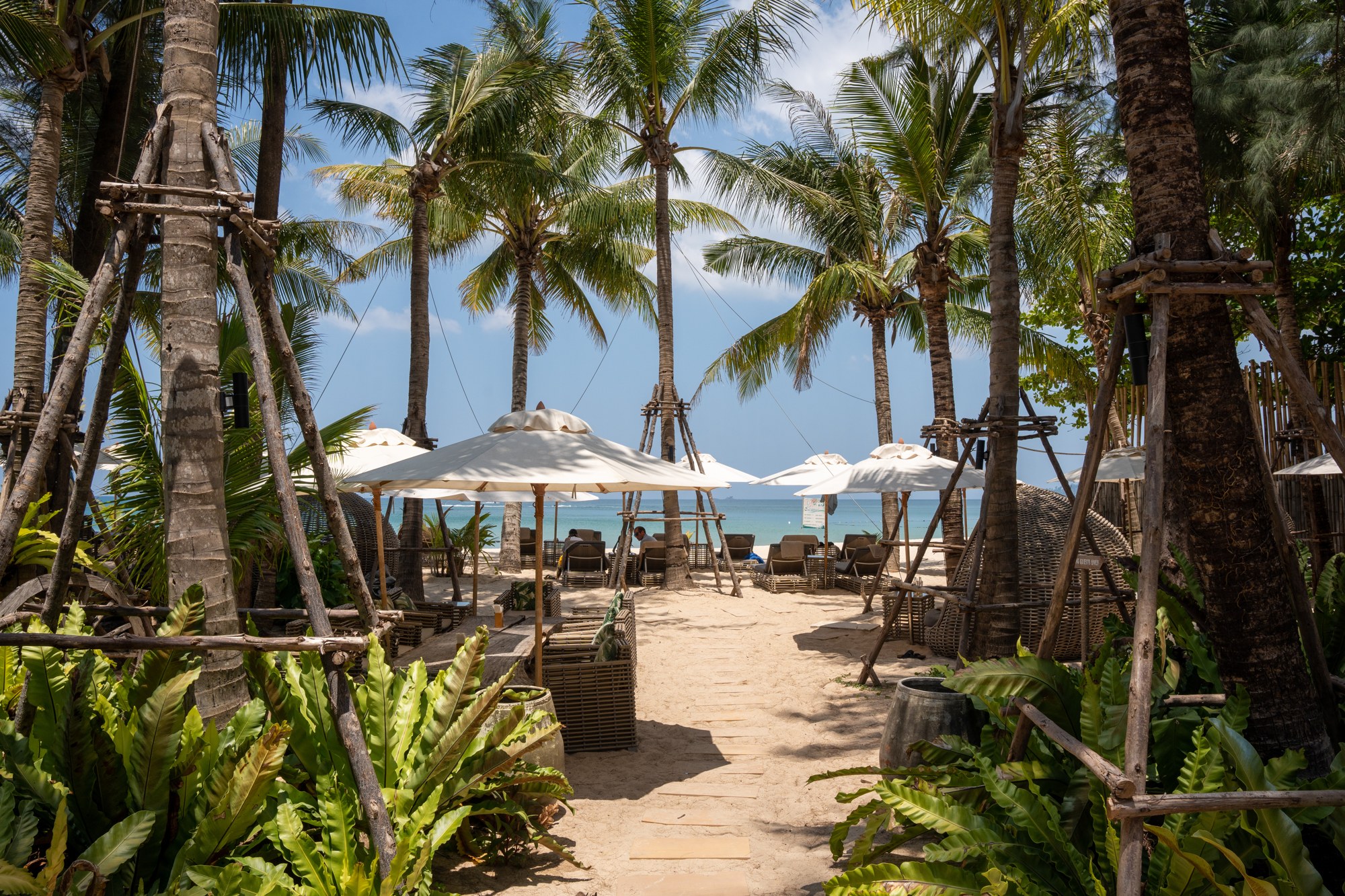Palm-lined Phuket beach club with loungers, white umbrellas, and turquoise sea
